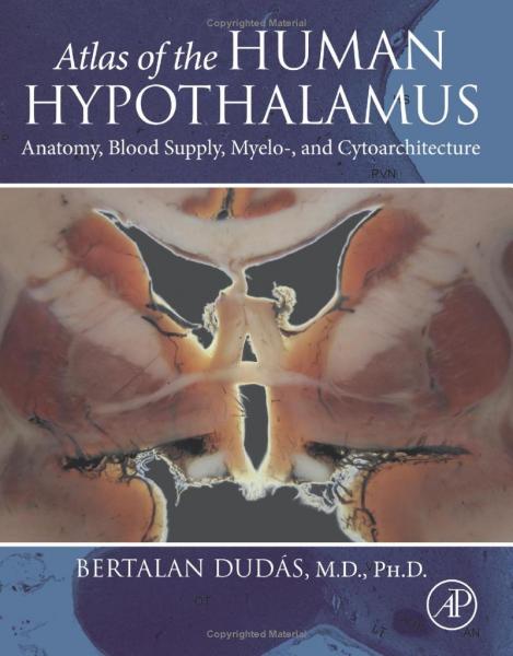 Atlas of the Human Hypothalamus: Anatomy, Blood Supply, Myelo-, and Cytoarchitecture(2021) 1st Edition - آناتومی