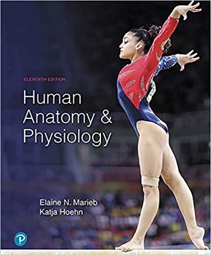 Human Anatomy & Physiology 2 Vol 2019 - آناتومی