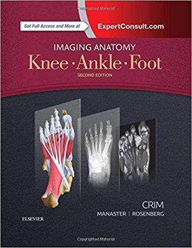 آناتومی تصویربرداری: زانو ، مچ پا ، پا - رادیولوژی