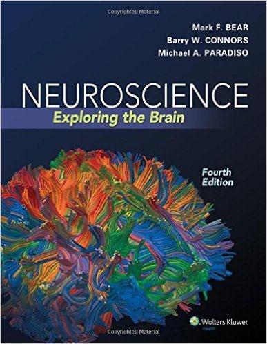 کاوش در علوم اعصاب  و مغز - نورولوژی
