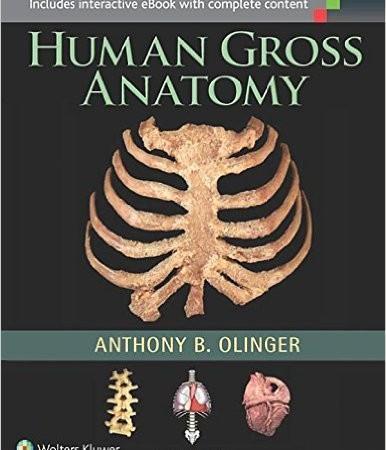  Human Gross Anatomy  2015 - آناتومی