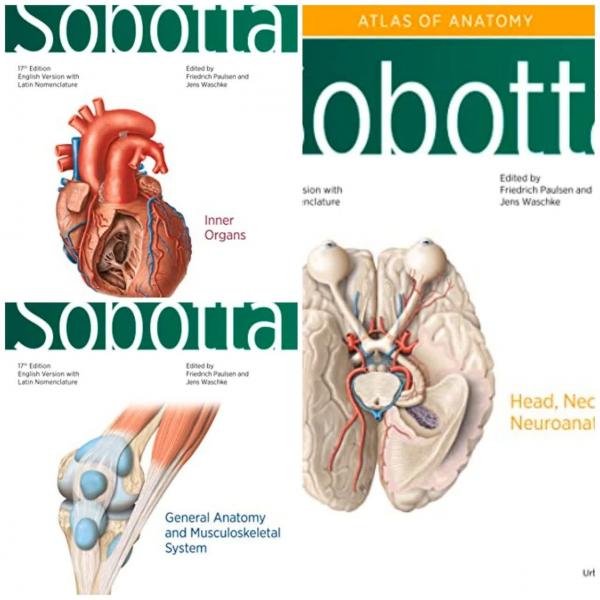 دوره 3 جلدی Sobotta Atlas of Anatomy(Vol. 3،Vol. 2،Vol.1) - آناتومی