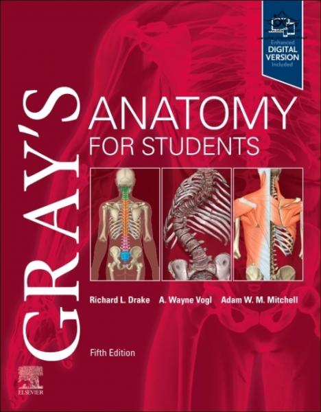 Grays Anatomy for Students 2vol  2024 - آناتومی