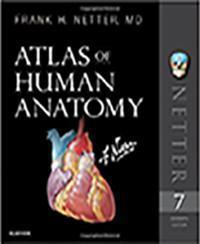  Atlas of Human Anatomy netter 7th Edition 2019 - آناتومی